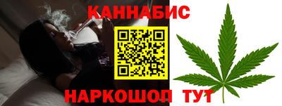 шишки Гагарин
