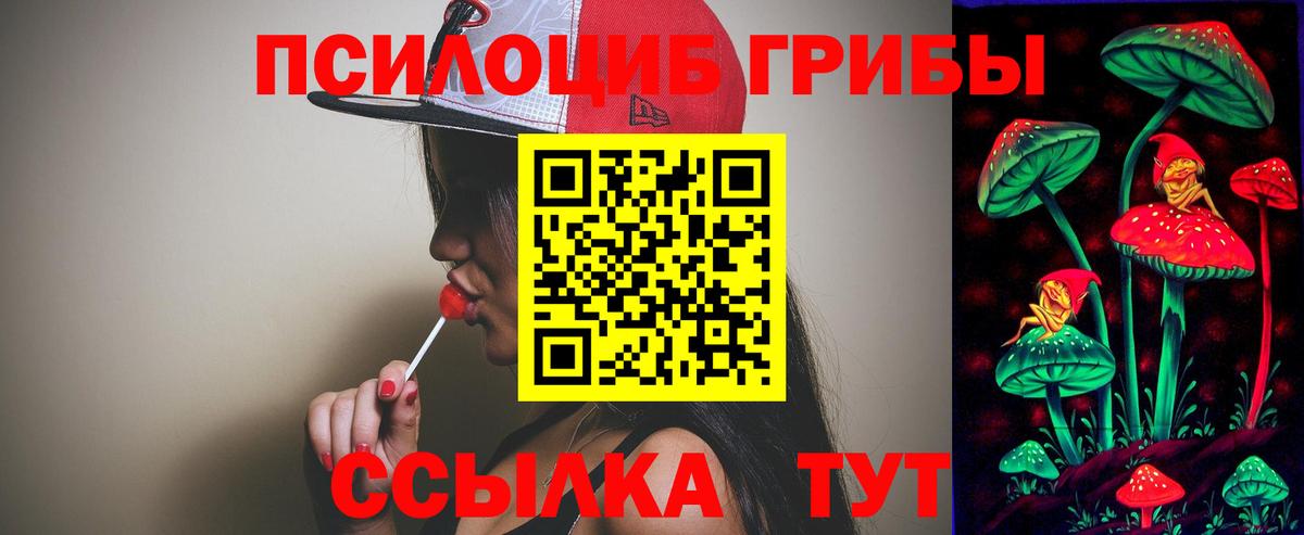 Псилоцибиновые грибы GOLDEN TEACHER  Вход с VPN  Павлово 